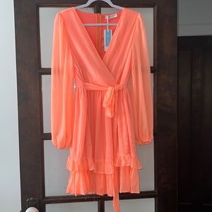 Beautiful sheer long sleeved dress; perfect for date nights or fancy events
